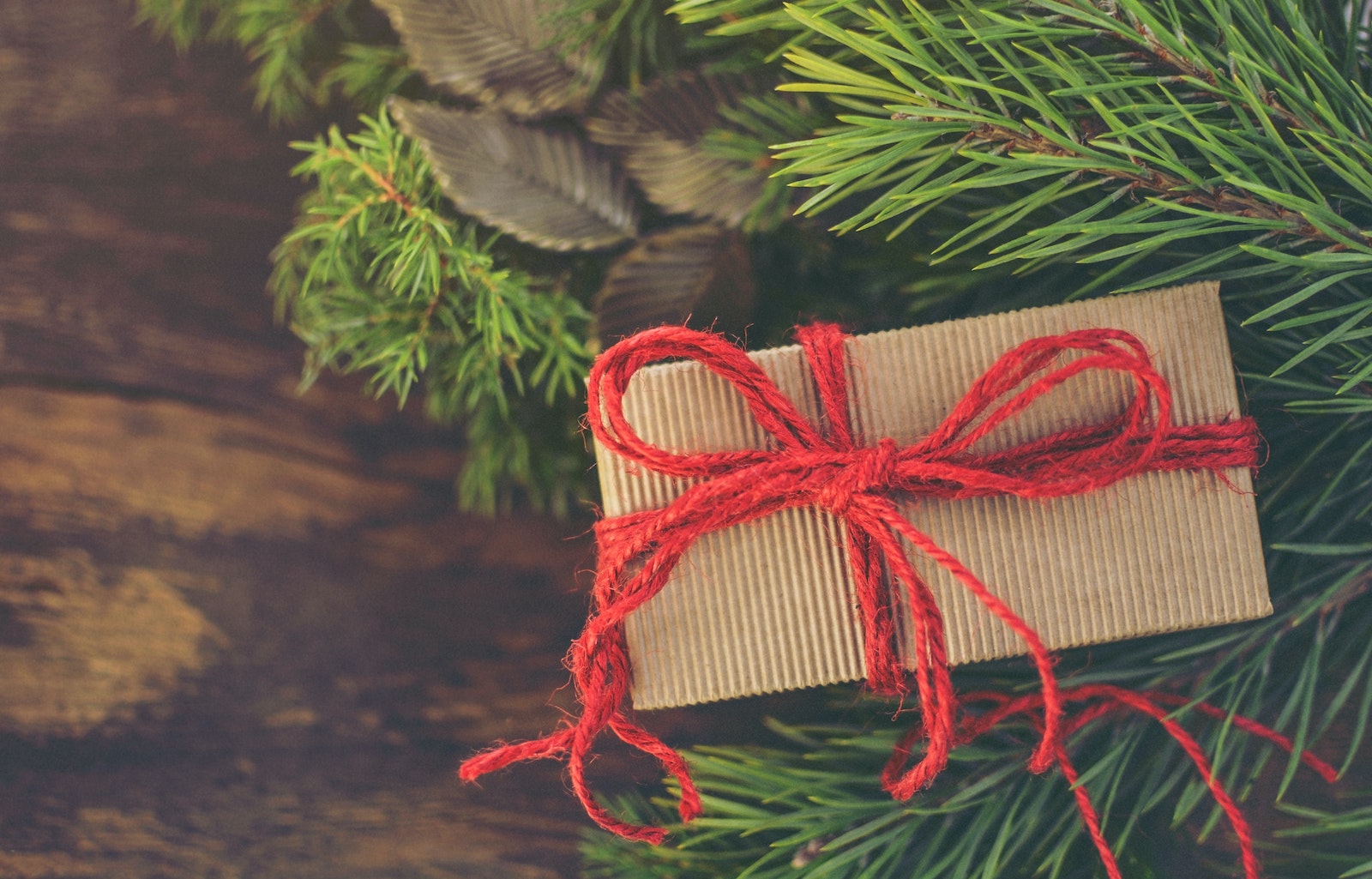 A New Gift to Give This Christmas
