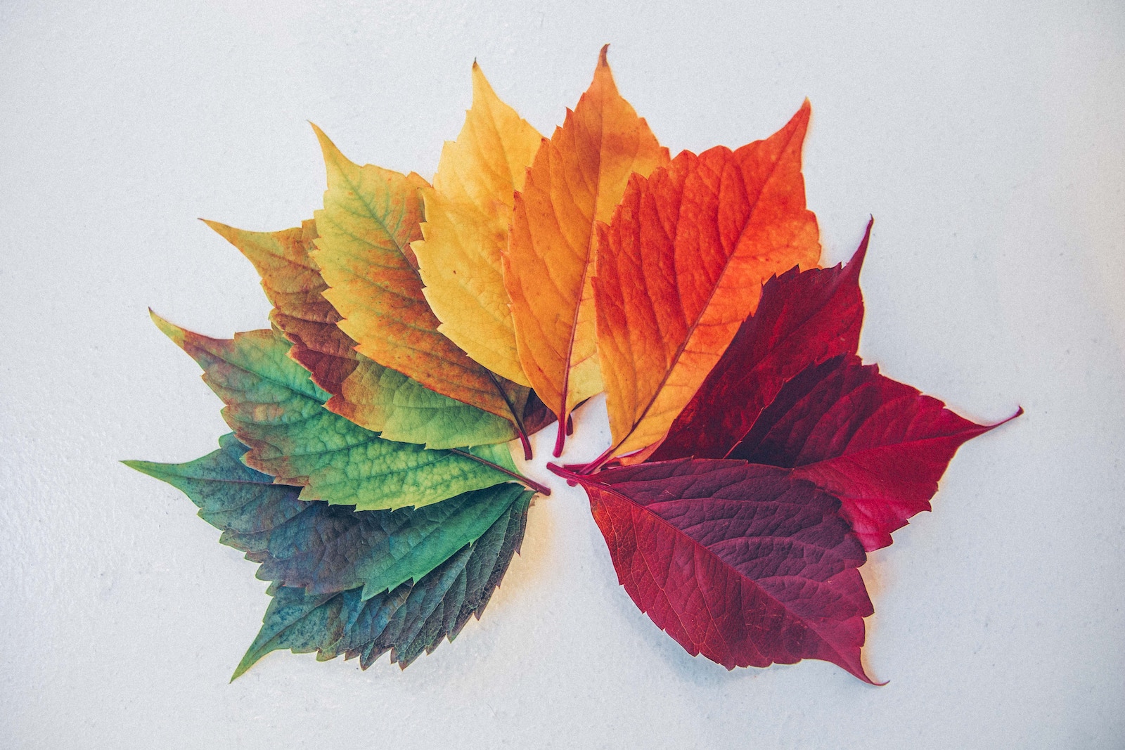 Seasons and Generosity